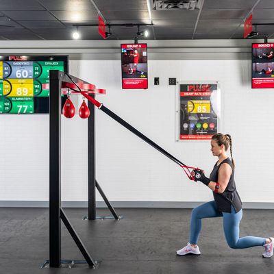 How Exercise Can Boost Your Immune System